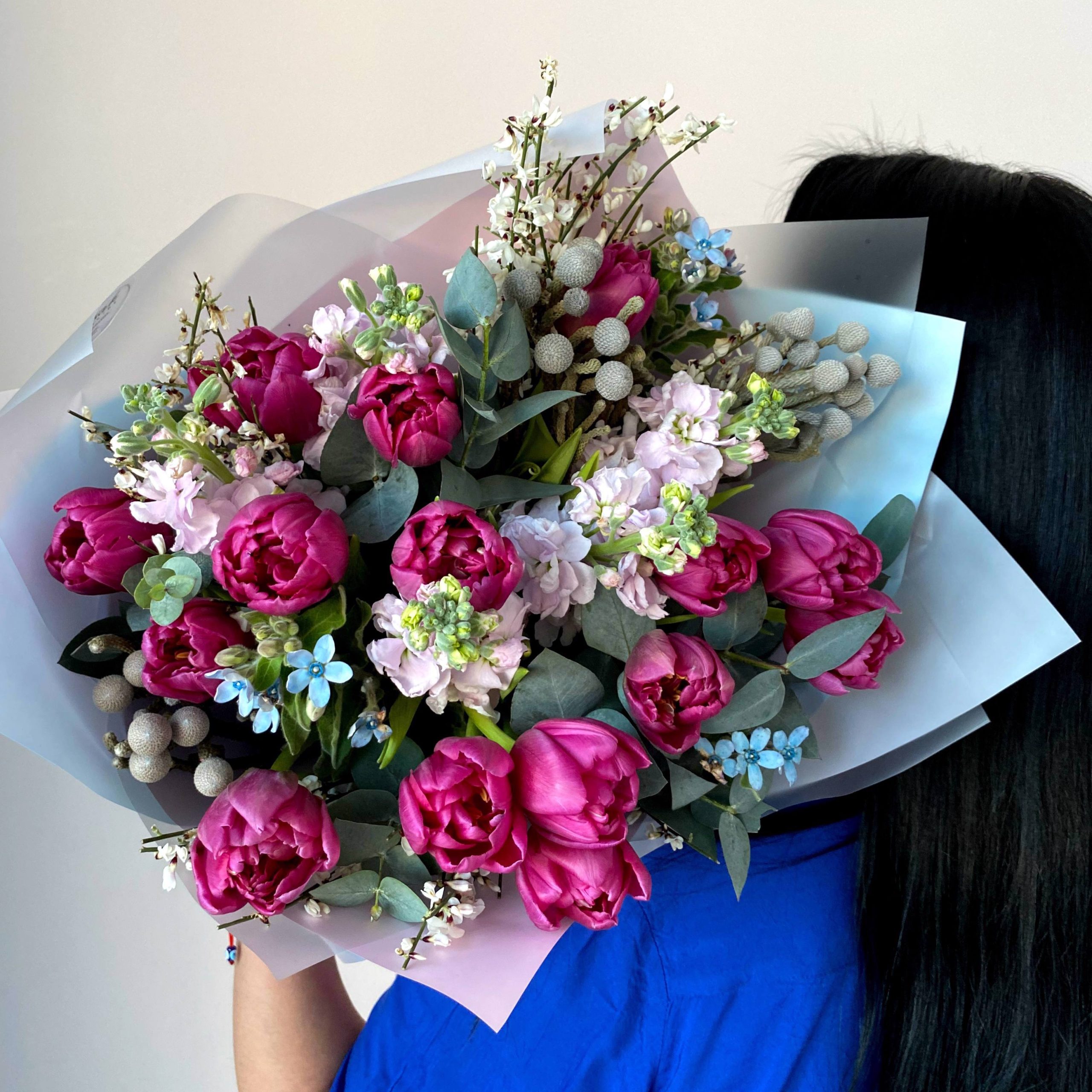 4d24ce2f-e8ce-4709-9911-ecec5e42b2eb